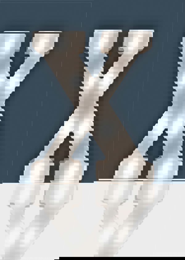 St Helens Battery Operated 3D LED Letter X Light