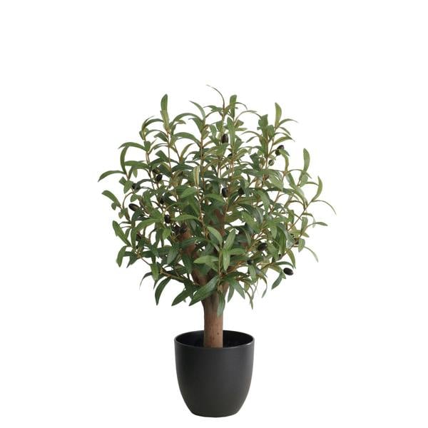 Artificial Olive Tree Natural Wood Trunk in Black Pot - 72cm