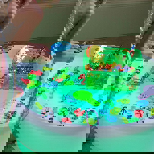 tickit Translucent Colour Discovery Set