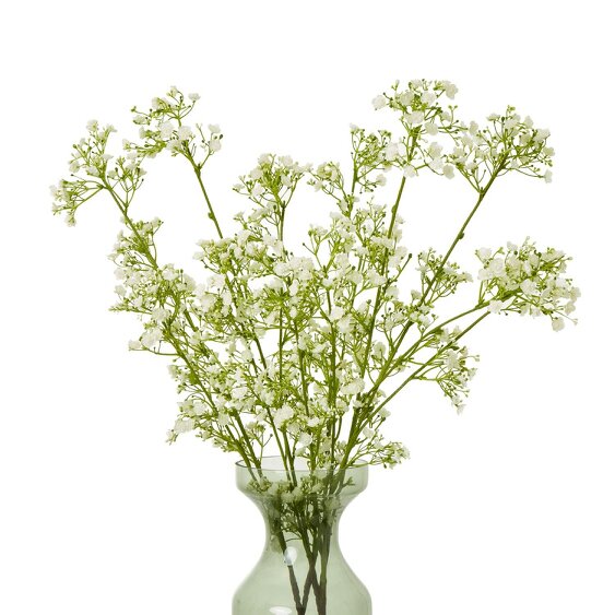 Wyld Haus Set of 3 Artificial Flowers Cream Gypsophila Sprays