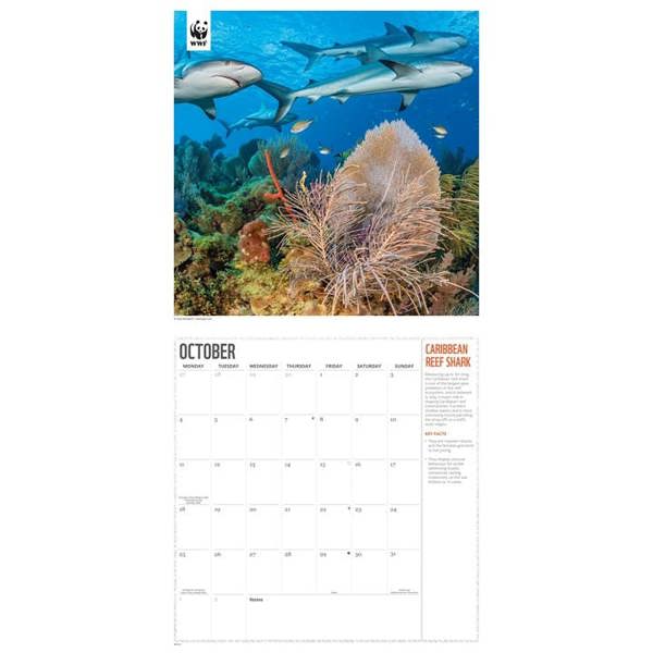 WWF, Oceans Calendar 2027, Wall Calendars, Month To View, Animals, Gift