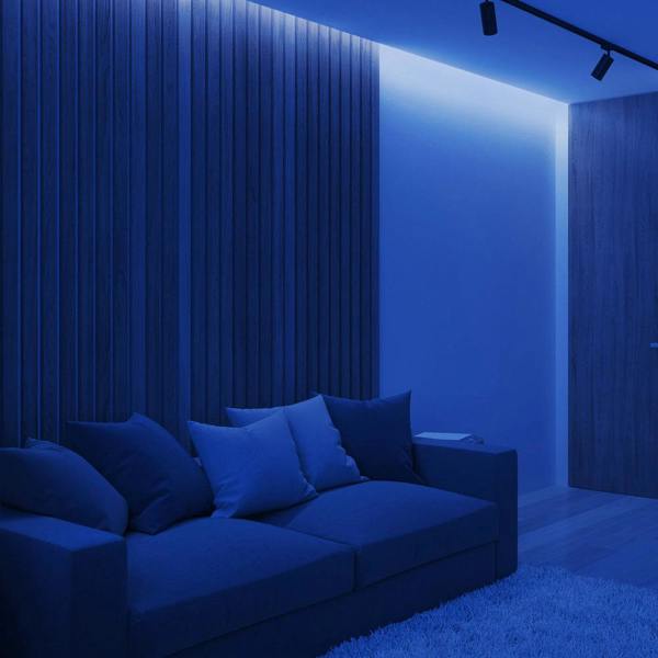 ENER-J 5m LED COB Strip 480L/M 24V, Blue with RF Dimmer and 12W/M Plug & Play Power Supply