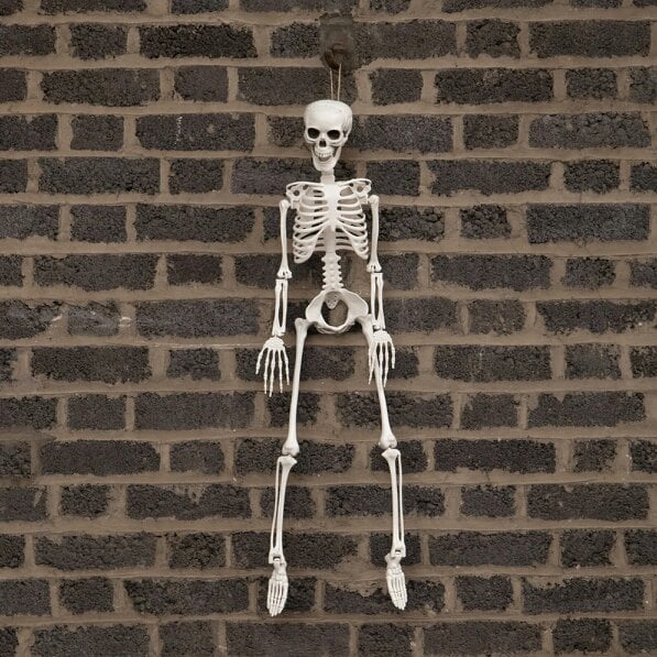 Samuel Alexander 10 Pack: 3ft (90cm) Posable Full Body Halloween Skeleton Decoration with Movable Joints