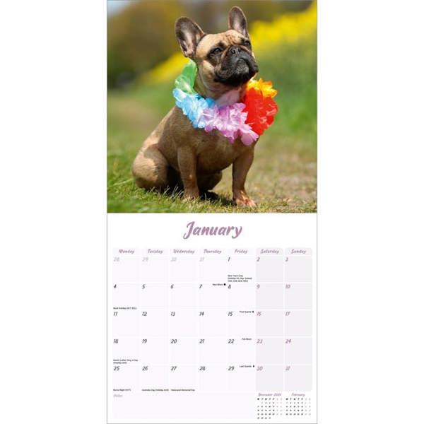 Frenchies Calendar 2027, Wall Calendars, Month To View, Dogs, Gift