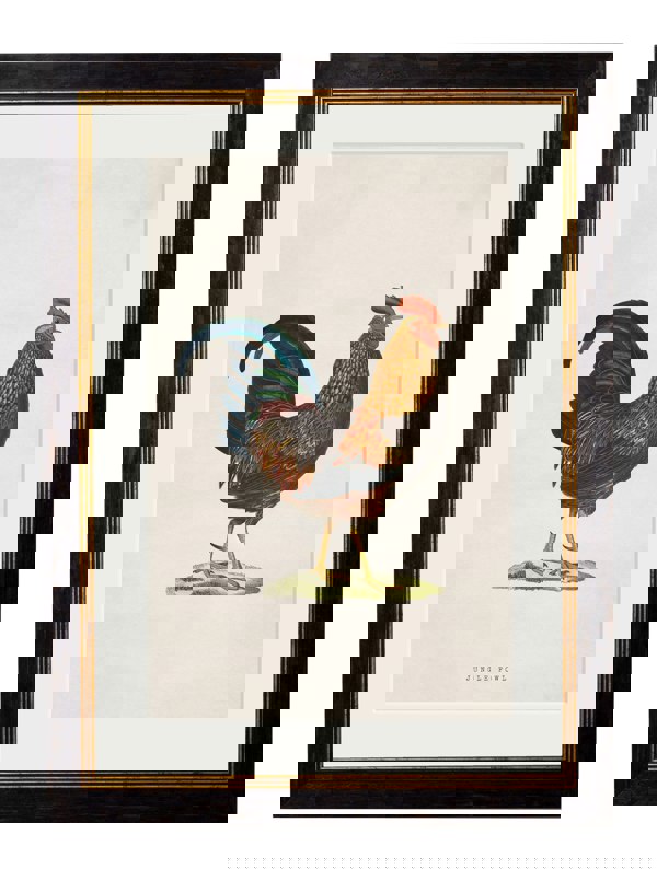 Exceptional Art c.1838 Junglefowl