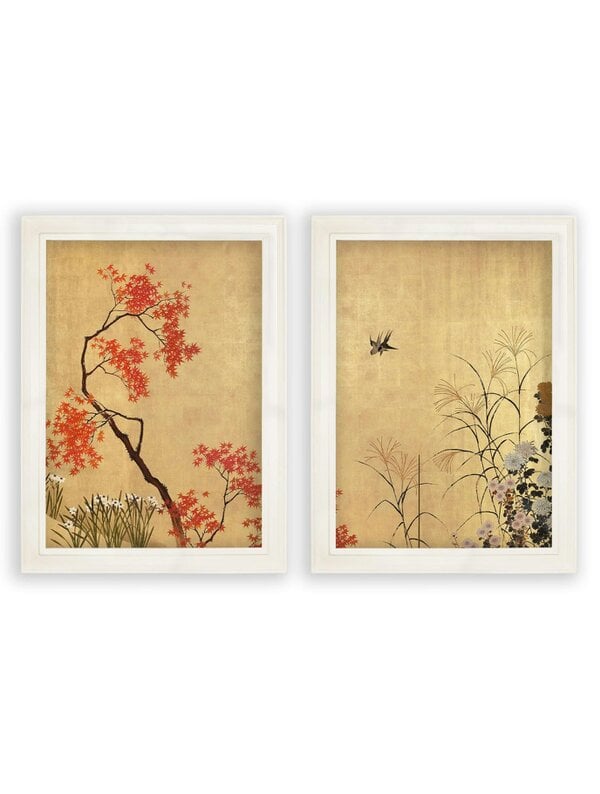 Exceptional Art Japanese Blossom -Shibata Zeshine Set of 2 Prints - 50 x 70cm - Ivory - Set of 2