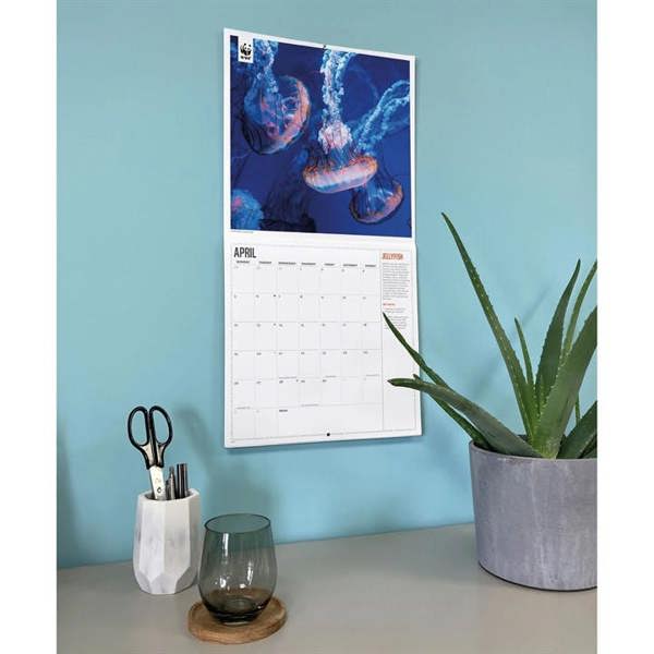 WWF, Oceans Calendar 2027, Wall Calendars, Month To View, Animals, Gift