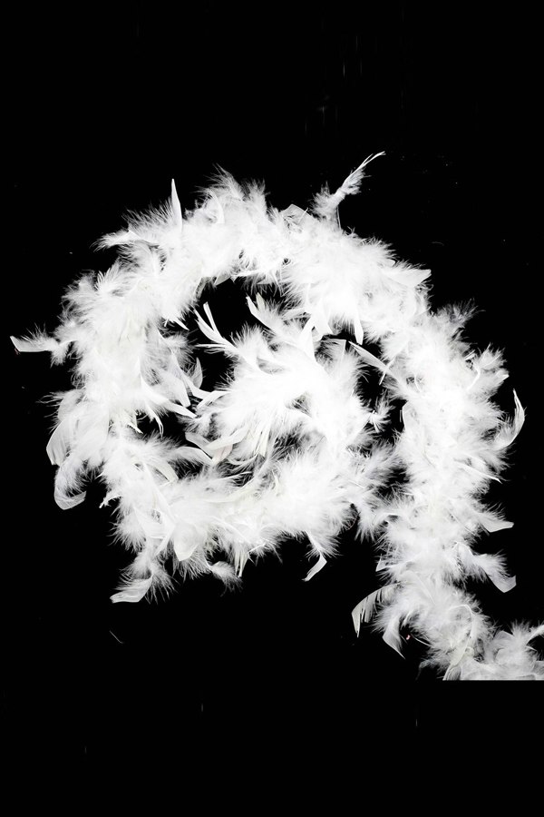 Living and Home 2m White Feather Vine for Christmas Tree Wedding Party Decoration