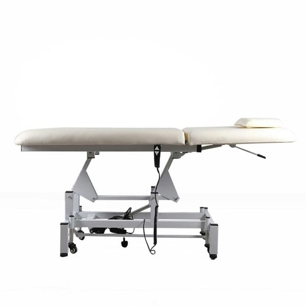 Electric Adjustable Reclining Tattoo Chair - Portable Salon Spa Bed Living and Home