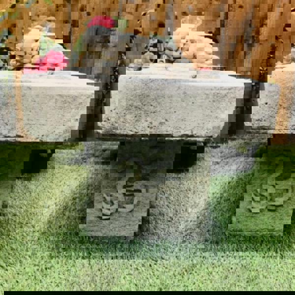 Stone Cast Small Birdbath Monk Buddha