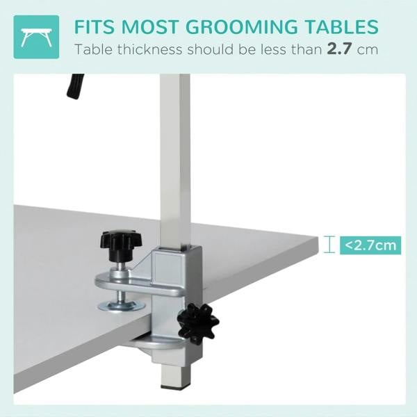 Grooming table clamp with arm post, secured for tables under 2.7 cm