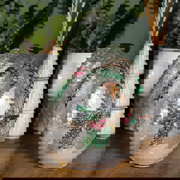 Samuel Alexander 15cm Battery Operated Light up Robin Crackle Glass Ball with 12 Warm White LEDs