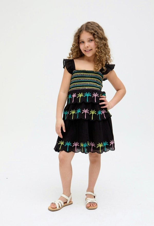 Kids Rose Ruffle All Over Embroidered Dress In Black - image 1