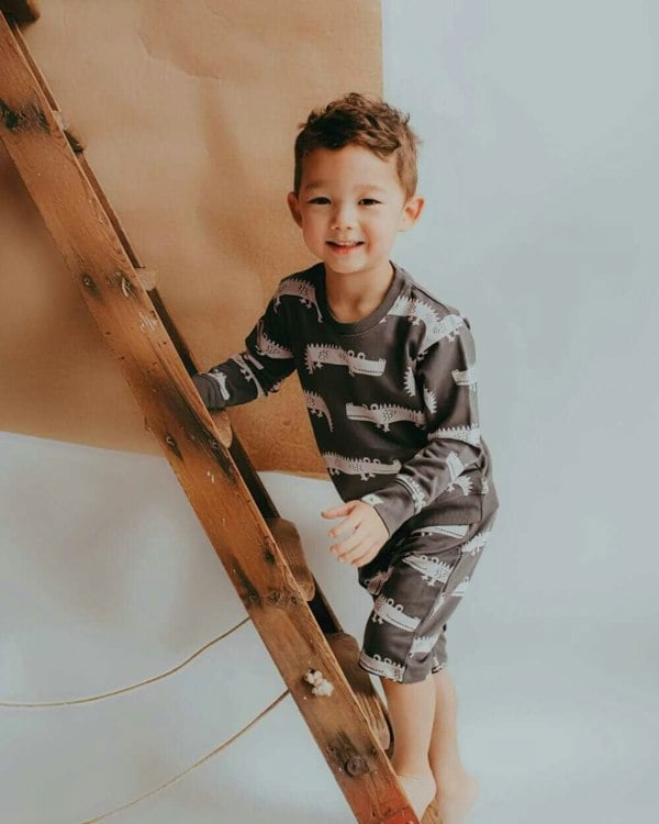 organic cotton Grey Crocodile Print Shorts - image 1