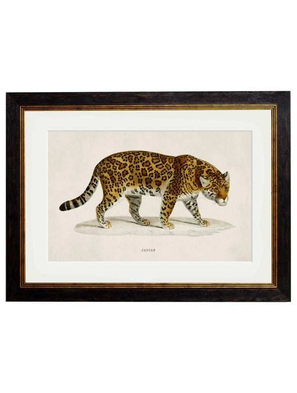 Exceptional Art c.1836 Jaguar