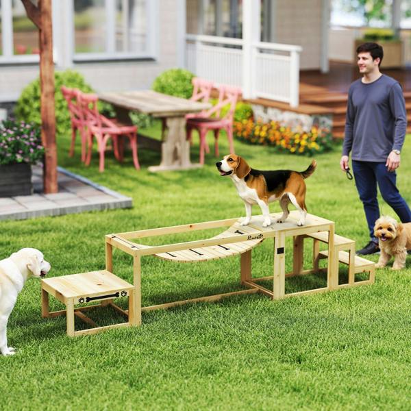 Pet Agility Set