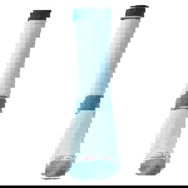 t4option1_1