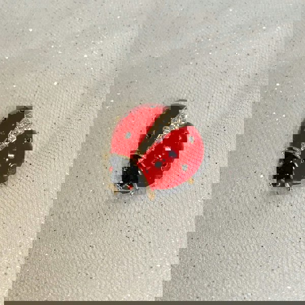 ladybird brooch in enamel