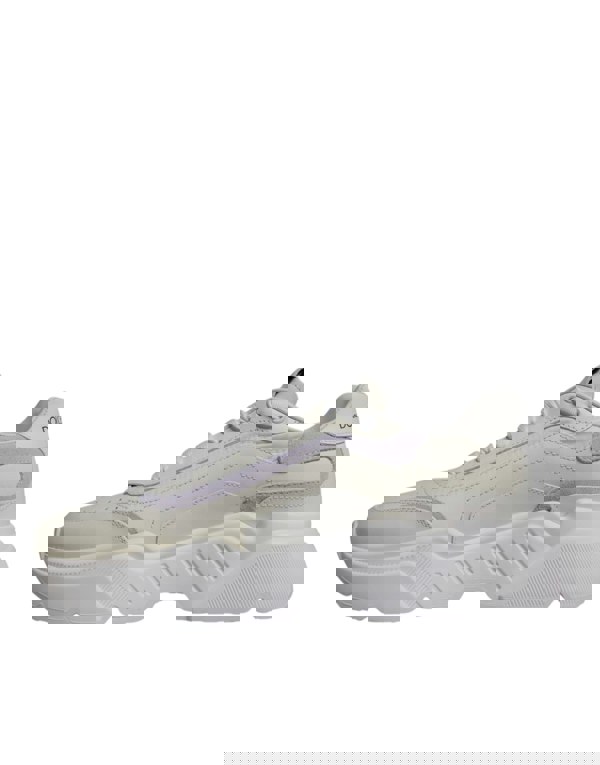 202799393.jpg