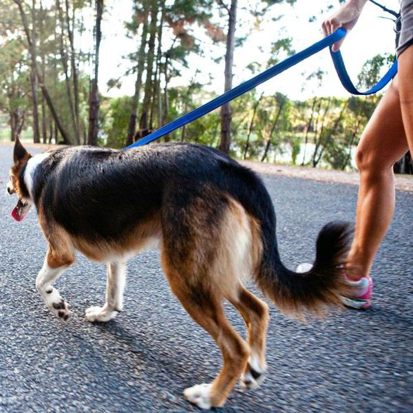 EzyDog Classic Dog Lead in Grey