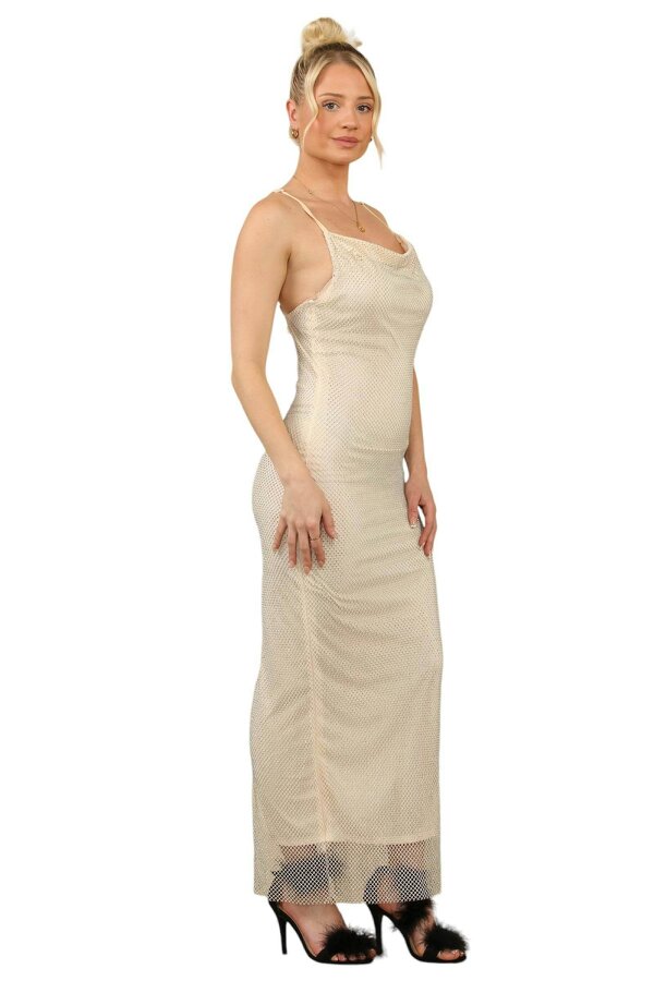 Diamante Net Maxi Dress heavy luxury Curve