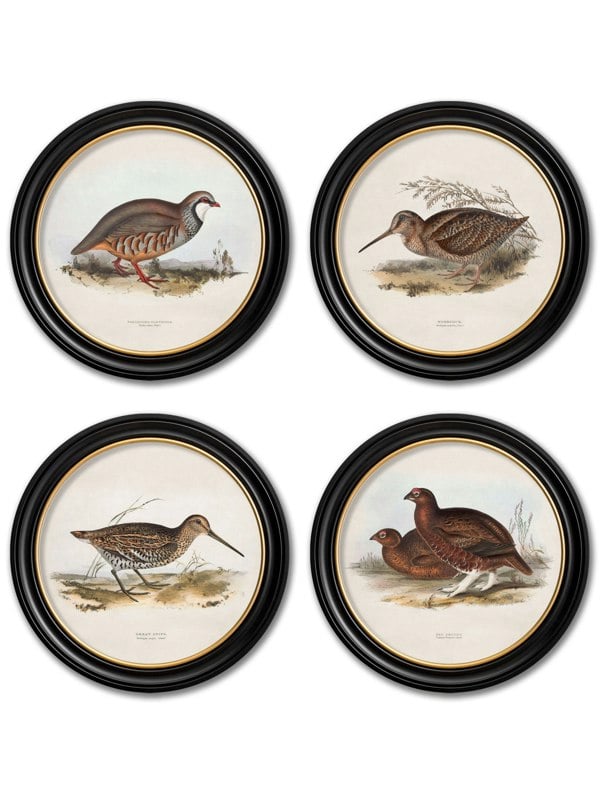 Exceptional Art c.1837's British Game Birds - Round