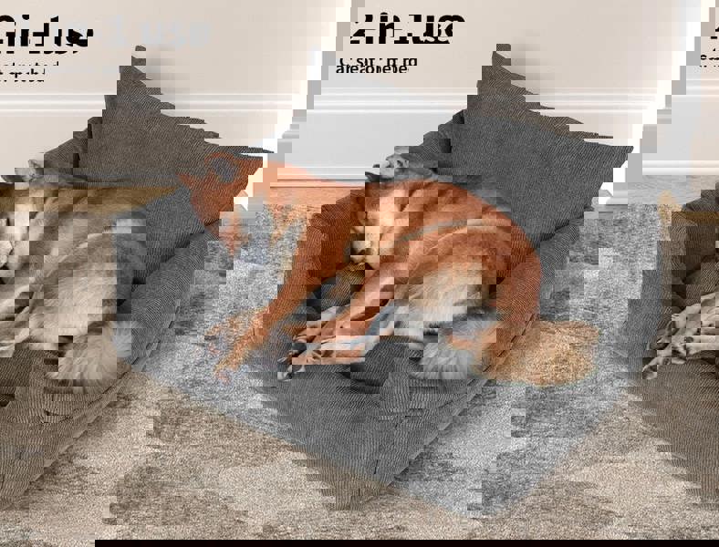 Skylos Pet Car Booster Seat Dog Protector Portable Travel Bed Removable Grey L