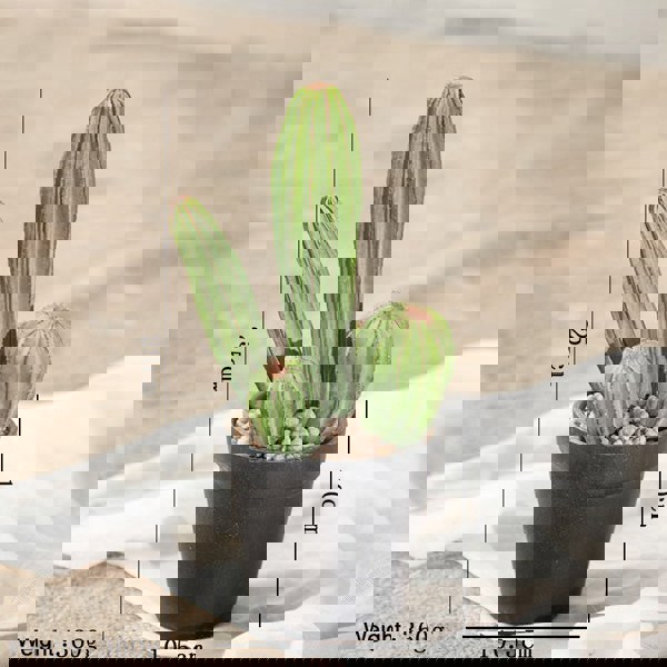 TU18 Artificial Plant-Weilai Concept-15-Weilai Concept