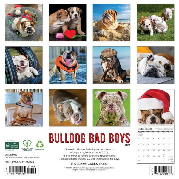 Bulldog Bad Boys Calendar 2027, Wall Calendars, Month To View, Dogs, Gift