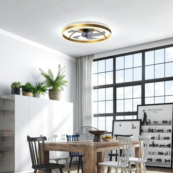 Ceiling Fan With Light