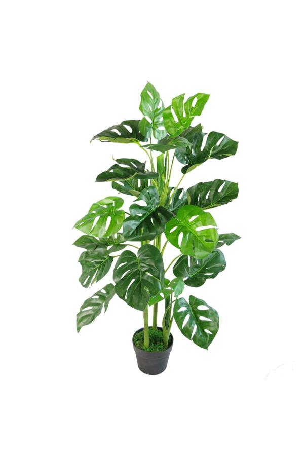 Dyzi Artificial Monstera Plant Moss Covered Pot 100cm