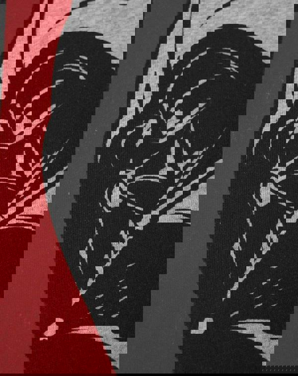 Star Wars Mens Grey Darth Vader Short Sleeved T-Shirt