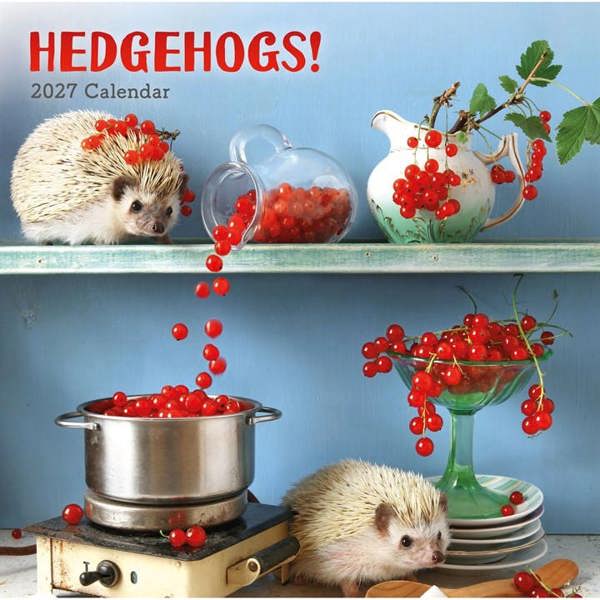 Hedgehogs! Calendar 2027, Wall Calendars, Month To View, Animals, Gift
