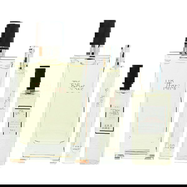 Hermes Hermès Terre D'hermès 3 Piece Gift Set: Eau de Toilette 100ml - Eau de Toilette 15ml - Hair And Body Shower Gel 40ml