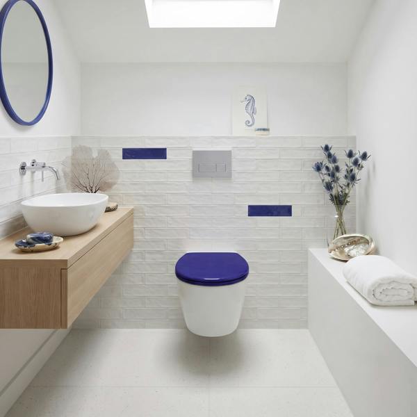 RTS Electric Blue Top Fix Slow Close Quick Release Toilet Seat