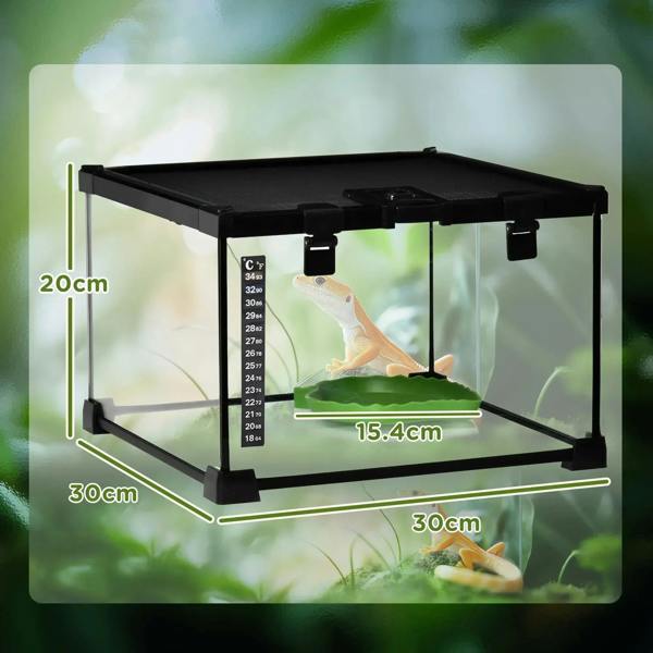 Black glass terrarium with green water basin and strip thermometer inside