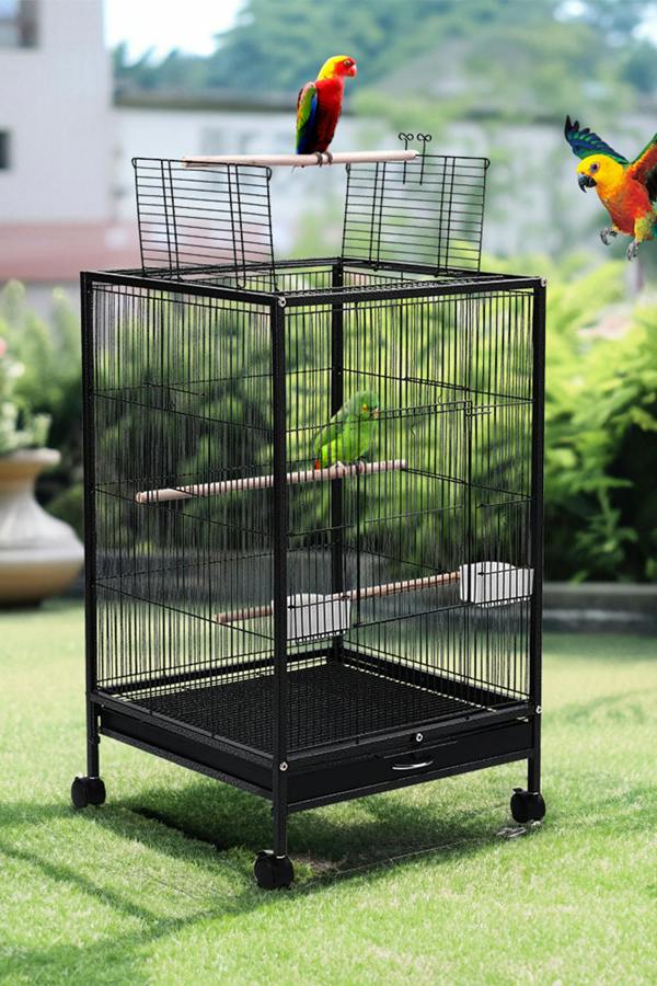 Open Play Top Metal Pet Bird Cage with Casters