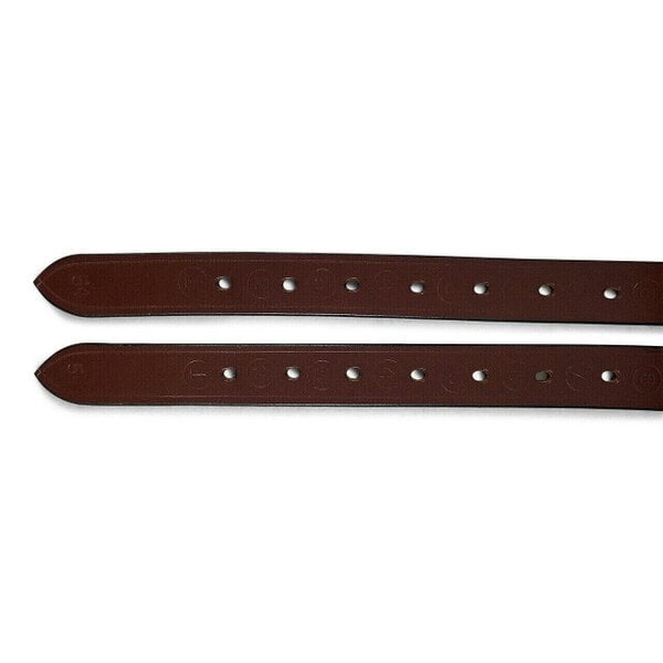 eQuitack Leather Horse Riding Stirrup Leathers With Silver Buckles Brown