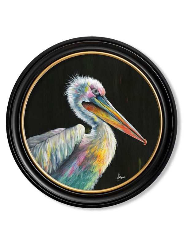 Exceptional Art Pelican Print 'Pierre' by Amy Ansell - Oxford Round Frame