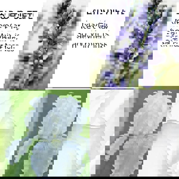 Elizabeth Arden White Tea Fragrance 3-Piece Set