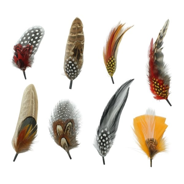 Gamble & Gunn Feather Mounts - Collection of 8 (Pack A)