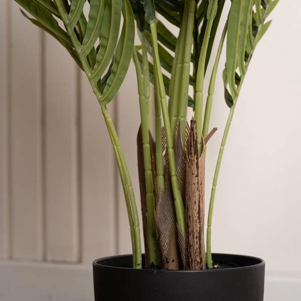 Scottish Everlastings 70cm Real Touch Areca Palm
