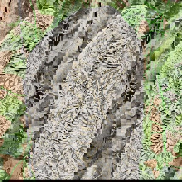 Stone Cast Jurassic Design Wall Plaque