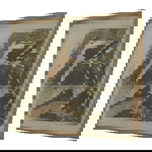 Hill Interiors Flora & Fauna Collection Avocet Linen Framed Wall Art - Multicoloured
