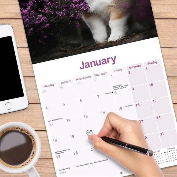 Corgi Calendar 2027, Wall Calendars, Month To View, Dogs, Gift