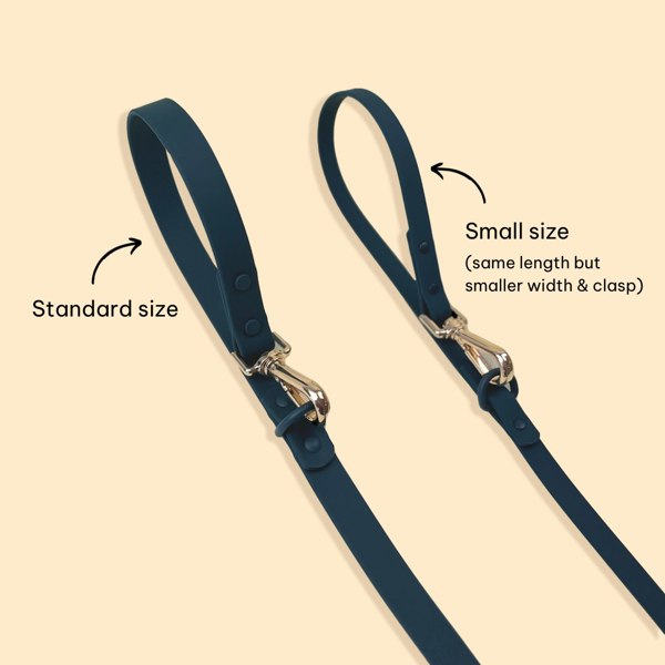 Westley Double Clip Dog Lead