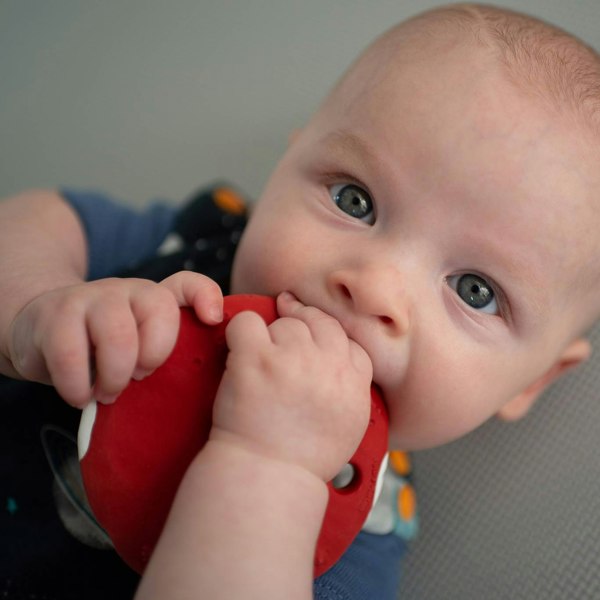 Baby Theo enjoying his Mars Biscuit natural rubber space teether