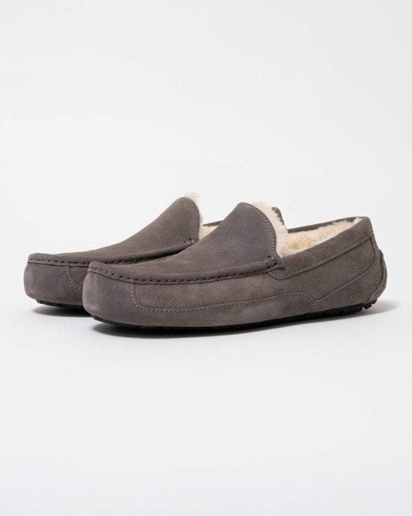 UGG Ascot Mens Slipper - Grey