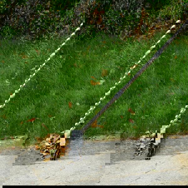 Gr8 Garden Heavy Duty Stainless Steel Broom with Handle Outdoor Garden Hard Bristle Brush