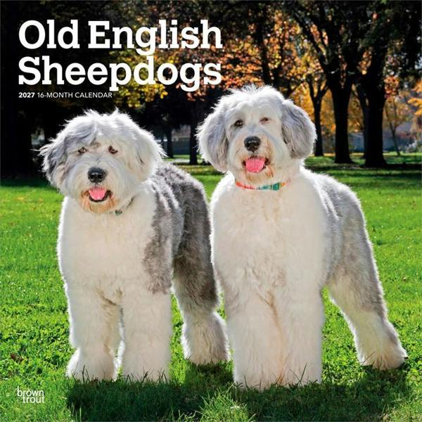 Old English Sheepdogs Calendar 2027, Wall Calendars, Month To View, Dogs, Gift